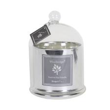 Woodbridge Dragon Fruit Large Bell Jar Candle